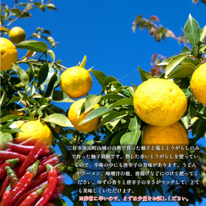 柚子胡椒 （赤唐辛子） 50g × 3本 【 柚子胡椒 】