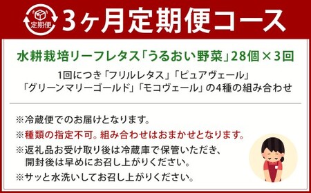 【定期1ヶ月毎3回】水耕栽培 リーフレタス「うるおい野菜」28個セット 野菜 フリルレタス ピュアヴェール グリーンマリーゴールド モコヴェール 定期便 セット 福岡県 北九州市