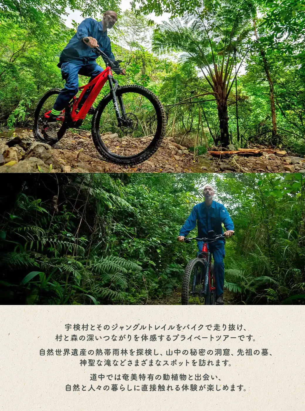eBikeジャングルライド 4名様 奄美大島 宇検村 鹿児島県 旅行 自然 冒険 完全プライベート