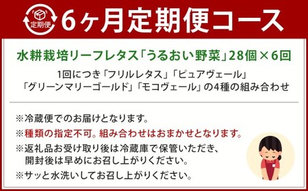 【定期1ヶ月毎6回】水耕栽培 リーフレタス「うるおい野菜」28個セット  野菜 フリルレタス ピュアヴェール グリーンマリーゴールド モコヴェール 定期便 セット 福岡県 北九州市