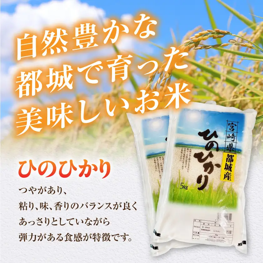 都城産ひのひかり10kg(5kg×2袋)〔21-N5-002-10kg〕_(都城市) 都城産 お米 10kg 5kg2袋 ひのひかりお弁当 おにぎり