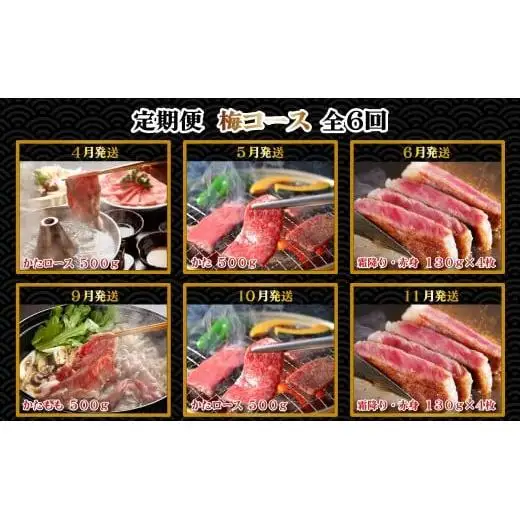 神戸牛 定期便「梅」コース 全６回 TK梅 [1219]