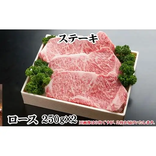神戸牛 お肉三昧セット 1500g TKLS10 [1216]