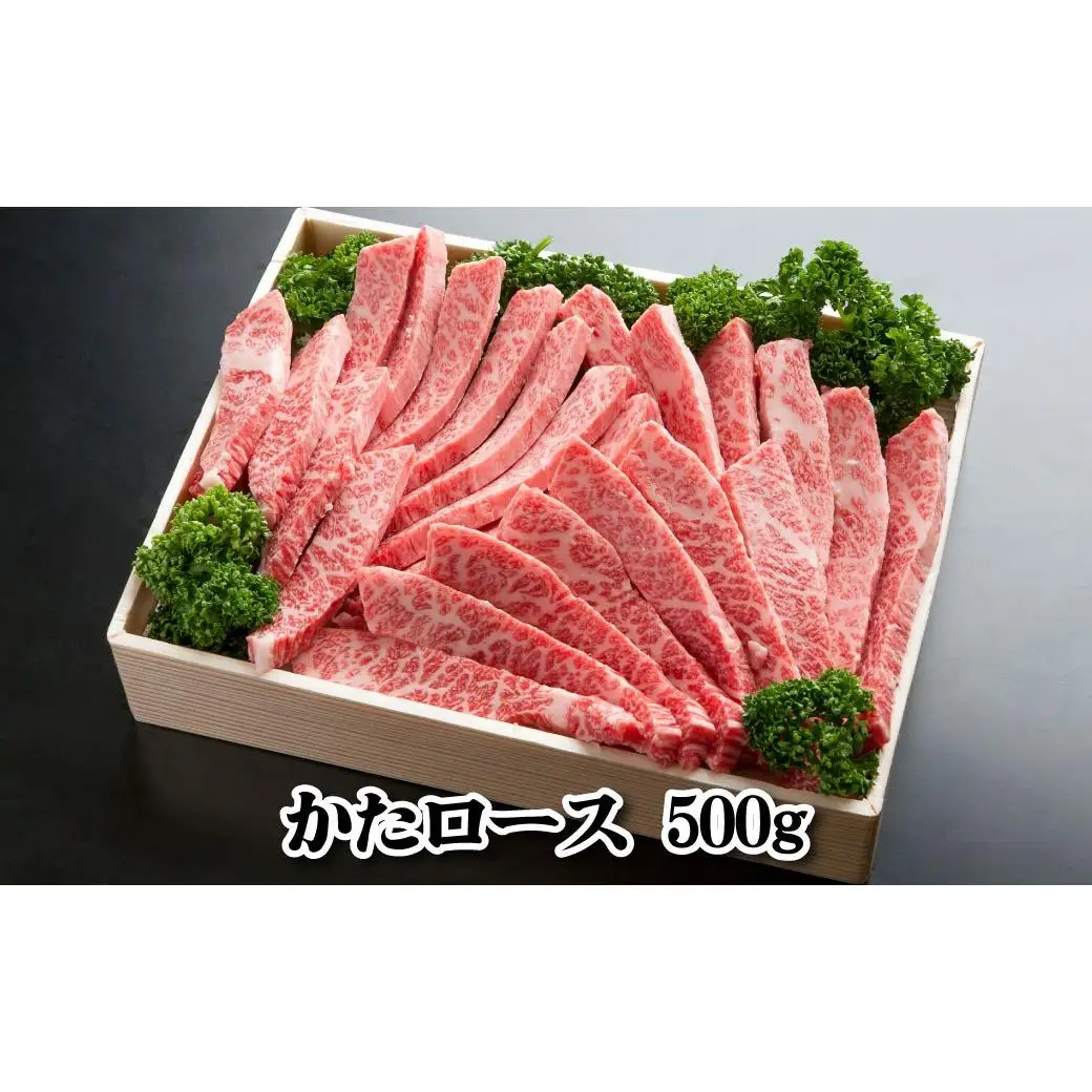 神戸牛 焼肉セット 1000g TKYS5 [1214]