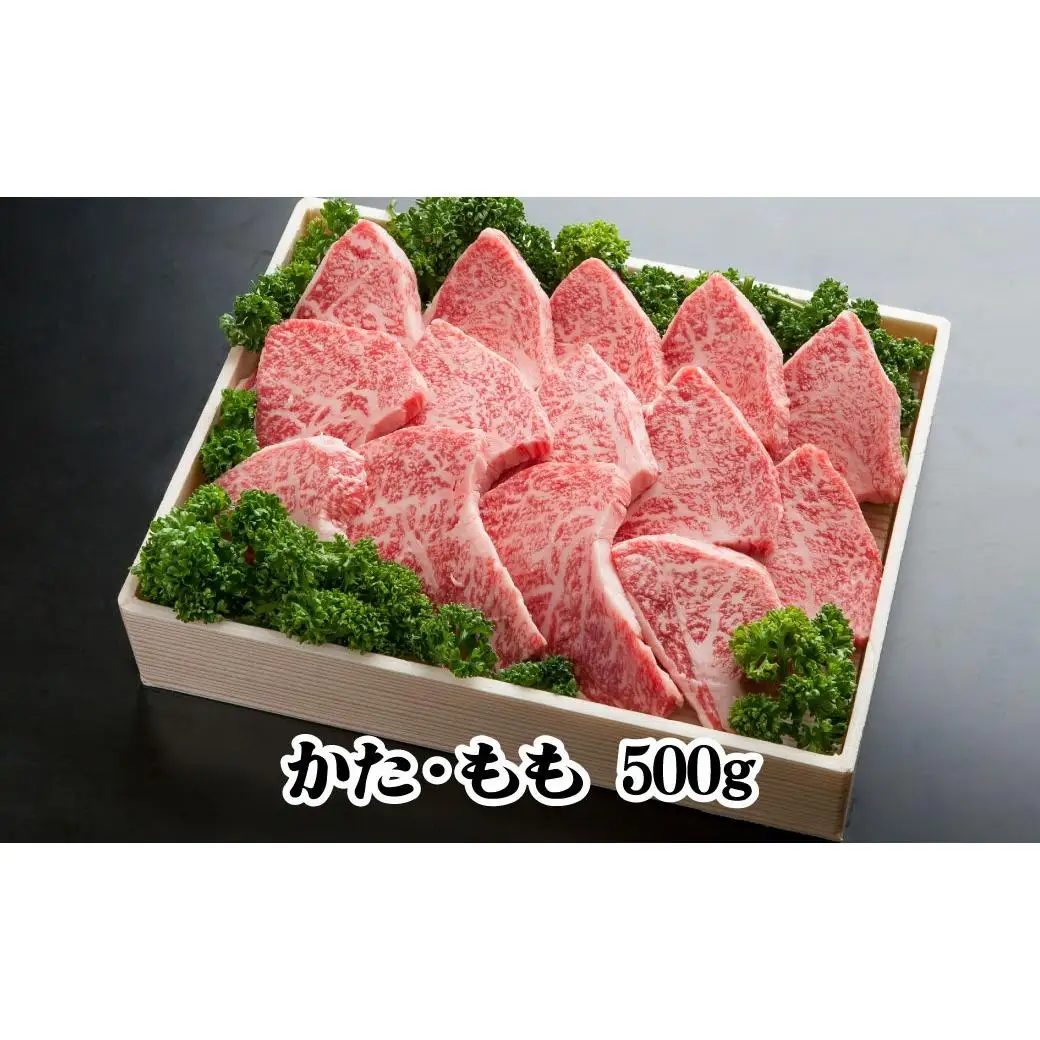 神戸牛 焼肉 500g TKY2  [1208]