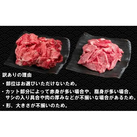 【訳あり】神戸牛 切り落とし肉・焼肉用（不揃い） 800g TKSY2 [1206]