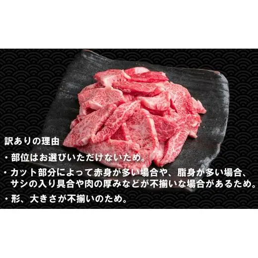 【訳あり】神戸牛 焼肉用（不揃い） 800g TKY1-2 [1205]