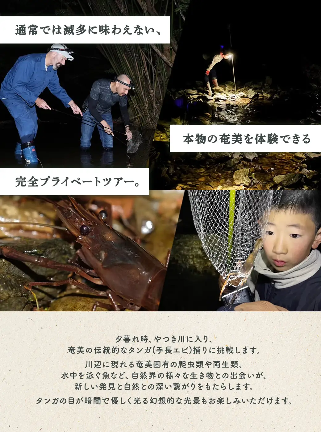 夕暮れタンガ捕り 体験 4名様 奄美大島 宇検村 鹿児島県 旅行 自然 冒険 完全プライベート
