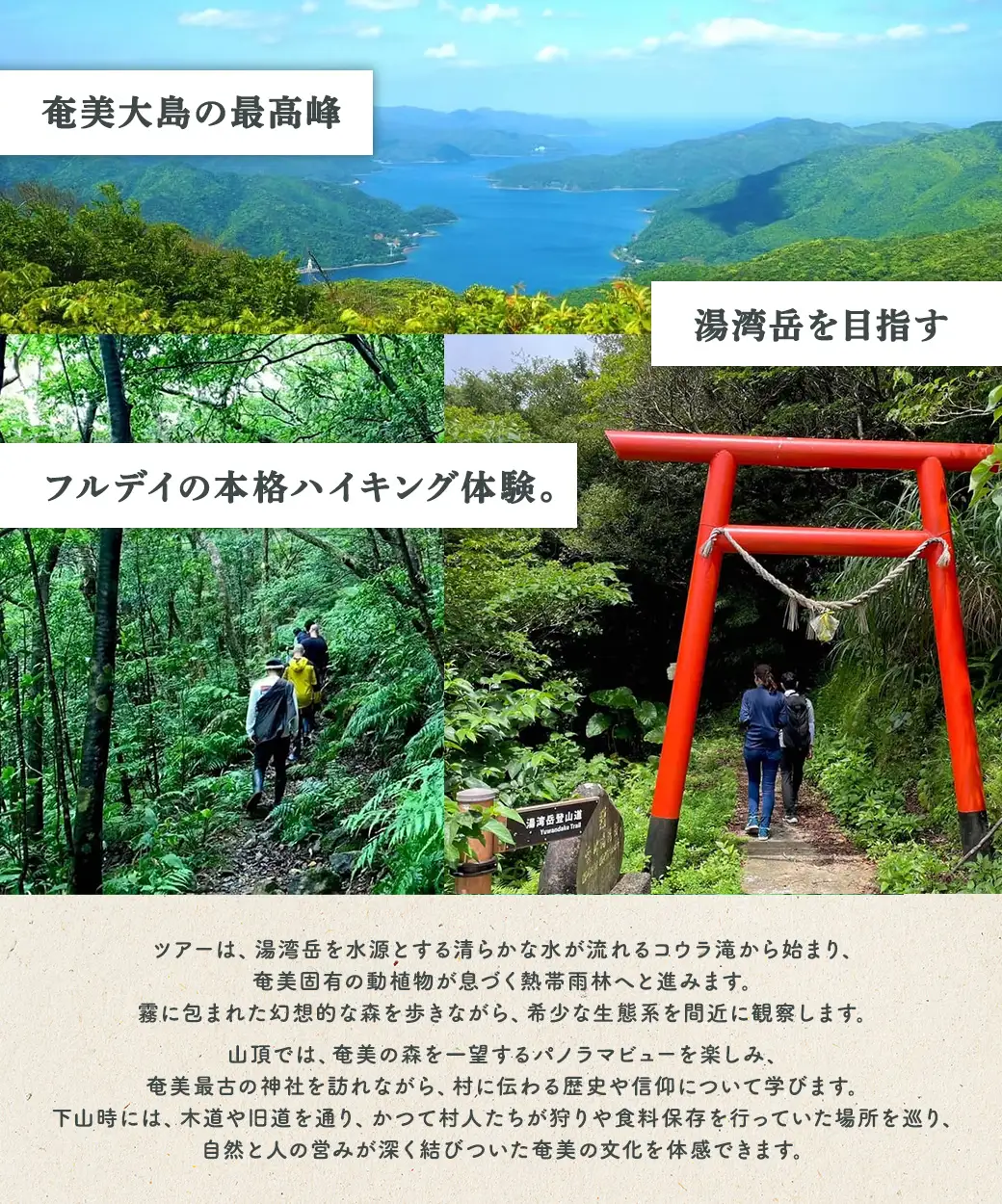 奄美最高峰「湯湾岳」ハイキング 体験 3名様 奄美大島 宇検村 鹿児島県 旅行 自然 冒険 完全プライベート