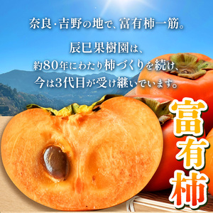 富有柿〈家庭用〉 約4kg（S～Lサイズ混載）  |  先行予約 大人気 人気 富有 柿 かき フルーツ 果物 辰巳果樹園 ギフト おすすめ 10月 11月 発送 カキ 秋の味覚 旬 甘い 大容量 農家直送 産地直送 グルメ お取り寄せ 送料無料  食物繊維 豊富 美容 健康 | 奈良県 五條市