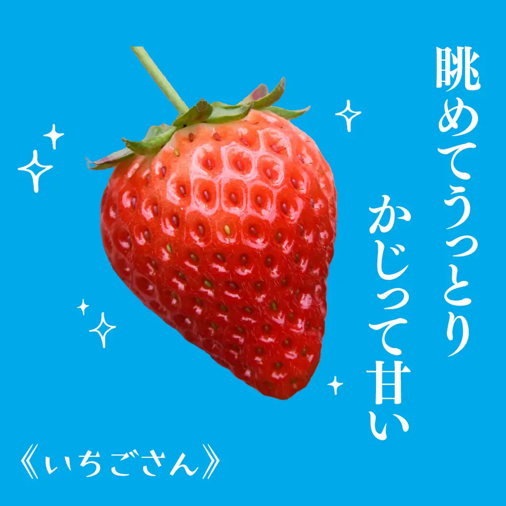 冷凍いちご 3kg（いちごさん)(H126103)