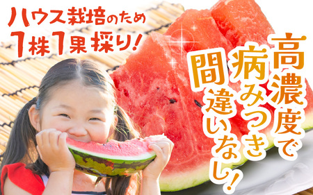 【先行予約】農家直送 砂丘地ハウス栽培 福井県産大玉スイカ 8kgサイズ 1玉【2026年6月中旬以降順次発送予定】 [B-21801]