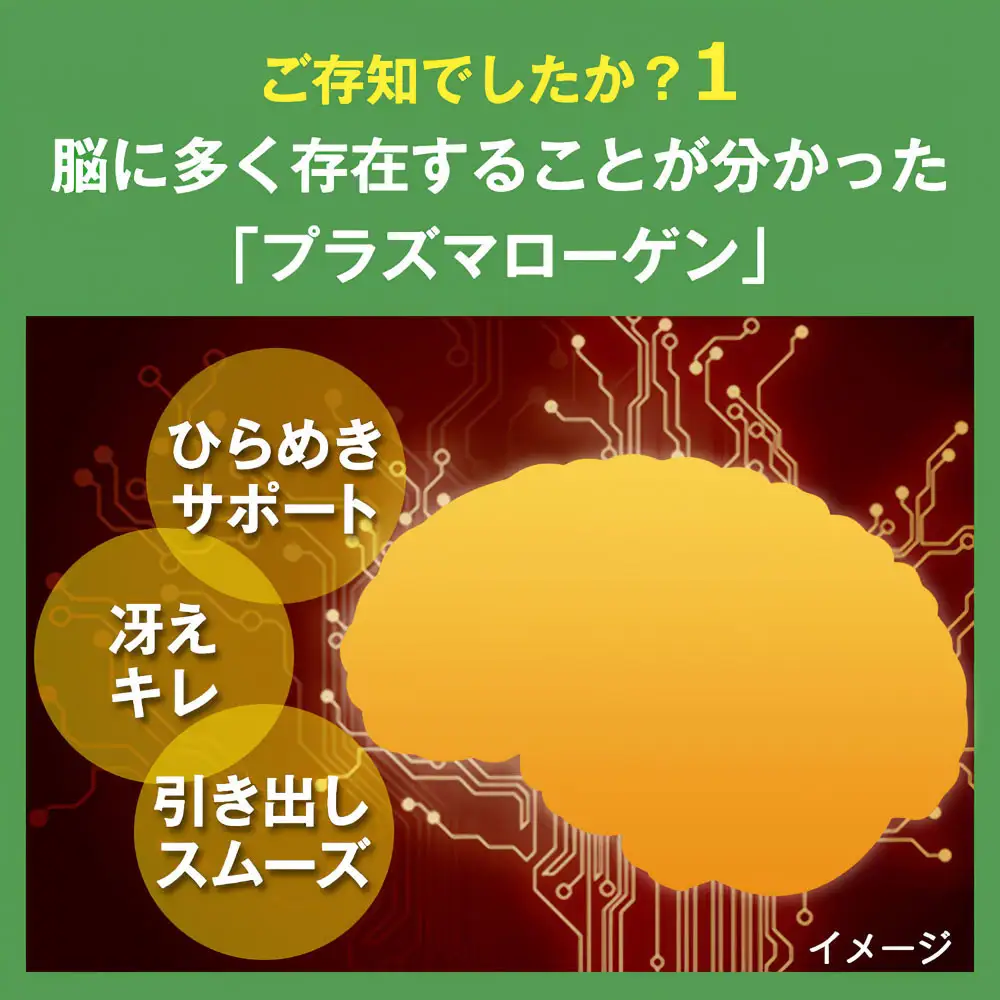 忘れたくないEX 高純度プラズマローゲン サプリ 60粒 3000mg  30日分 DHA EPA イチョウ葉 ノコギリヤシ 核酸 乳酸菌 日本製 サプリメント