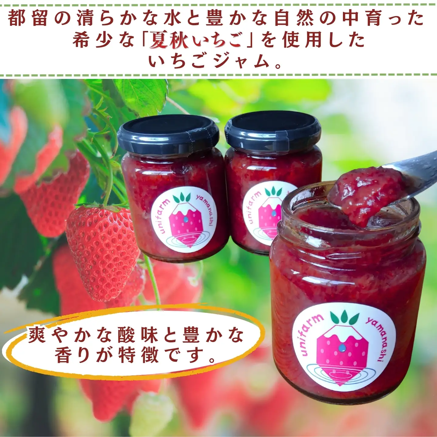 都留の清らかな水に育まれた希少な夏秋いちご使用 いちごジャム