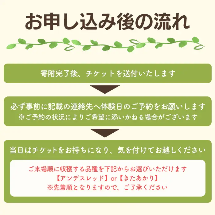 湧水町じゃがいも収穫体験チケット(1列分) 収穫 収穫体験 体験 チケット ジャガイモ 芋 招待券 レジャー 観光 旅行 お土産 おみやげ 持ち帰り 自然 農業体験【中津川ファーム】_y593
