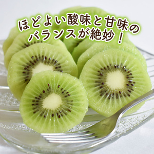 キウイフルーツ ヘイワード 【小玉】 約3kg 【2026年11月上旬頃から順次発送】 |  キウイ グリーンキウイ ヘイワード キウイフルーツ フルーツ 果物 きうい くだもの デザート 産地直送 数量限定 国産 送料無料 愛媛県 松山市【KNN014】