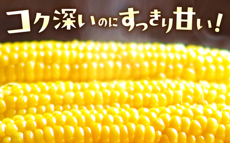 ＜先行予約＞ 朝採り とうもろこし 10本～11本 とうもろこし 冷蔵 糖度 フルーツ くらい 甘い 田原市 トウモロコシ コーン おやつ スイーツ コーンスープ にも 事前予約 旬 夏 初夏 野菜 やさい