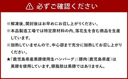 鹿児島県産黒豚使用生ハンバーグ 8個セット 黒豚 豚 豚肉 肉 お肉 にく ニク ハンバーグ 料理 国産 鹿児島県産 冷凍 ジューシー