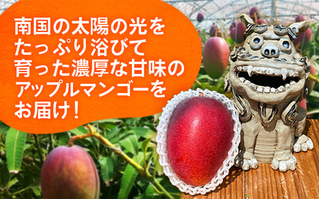 【先行受付】【2026年発送】大城マンゴー農園 マンゴー 優品 約2kg - 先行予約 アップルマンゴー 沖縄 産地直送 南国フルーツ 旬の味覚 贈り物 ギフト オススメ 沖縄県 八重瀬町