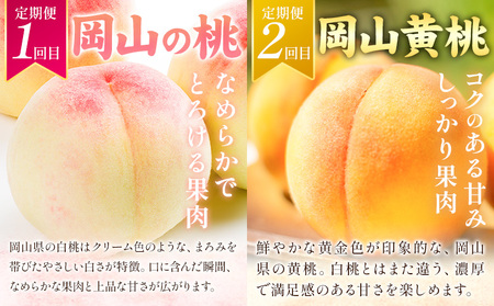 岡山県の贅沢フルーツ定期便 全5回