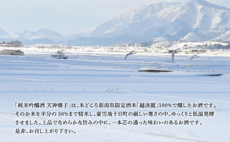 天神囃子純米吟醸酒 720ml　日本酒 酒 お酒 お取り寄せ 贈り物 ギフト 新潟県 十日町市