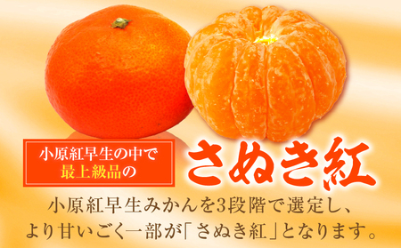 【先行受付】ハウスさぬき紅みかん 約2kg 18-30玉 (化粧箱入り)【香川県共通返礼品】|さぬき さぬき紅みかん 紅みかん 小原早生 小原早生みかん 最上階級 化粧箱 贈り物 贈りもの ギフト 厳選 果物 フルーツ 人気 香川 香川県 三木町 ハウス栽培 ジューシー 糖度が高い 先行受付 先行予約 季節限定 旬 おすすめ |_mk006-082