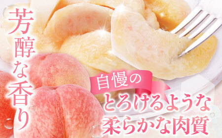 【先行受付】さぬきの桃　約3.6kg　(約1.8kg 5～10玉入り×2箱) （さぬき市共通返礼品） | もも モモ 桃 果物 フルーツ さぬきの桃 香川県 三木町 青果物 デザート 旬 国産 おすすめ |_mk006-083