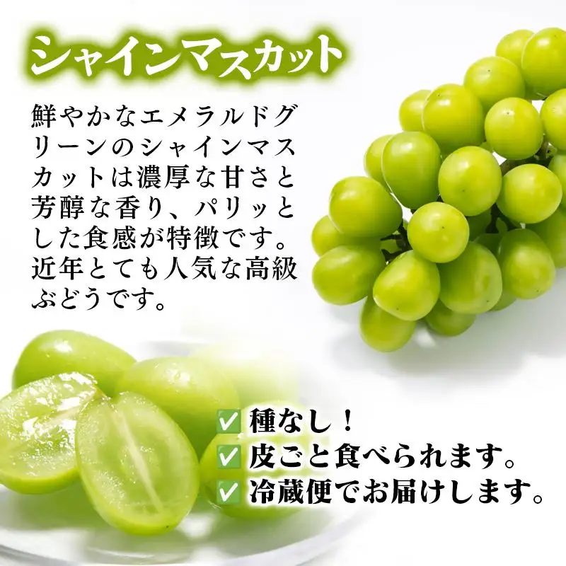 【先行予約】シャインマスカット・ナガノパープル 食べ比べセット 計1.7kg以上 宮崎県西都市産ぶどう 2026年発送＜66-1a＞
