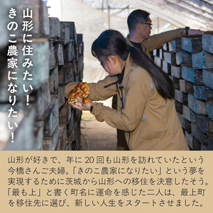 【予約返礼品】最上町産 菌床なめこ300ｇ×3袋