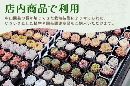 中山園芸 商品券 15,000円分 A07-025