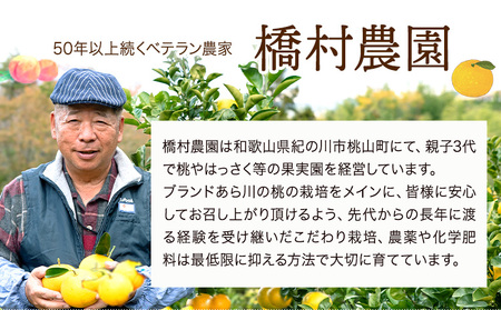【ふるなびWEEK対象】ご家庭用 あら川の桃 約2kg (6~8玉入り) 橋村農園