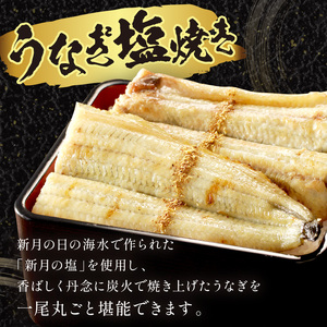 うなぎ【土用の丑の日までに届く！】うなぎ 塩焼き2～3人前(1尾) "新月の塩"使用 