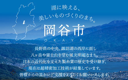 【返礼品なし】長野県 岡谷市 応援寄附金 10,000円