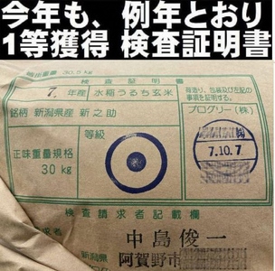 【令和7年産】【真空パック】整粒率95％の1等米！！ 阿賀野市産「新之助」無洗米 5kg 中島農場 精米 新潟県 最高品質米 米 こめ コメ お米 ごはん ご飯 農家直送 長期保存 保存食 災害用備蓄米 3R01021