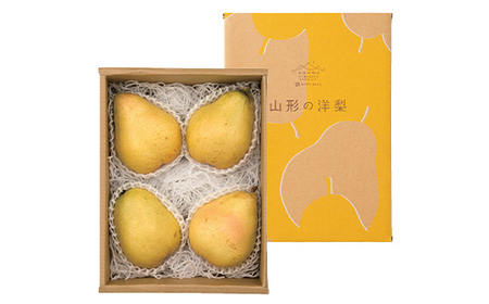 《先行予約》山形県産 マルゲリットマリーラ約2kg（4～6個） 洋梨 西洋梨 洋ナシ 洋なし 秋果実 果物 くだもの フルーツ F4A-1024