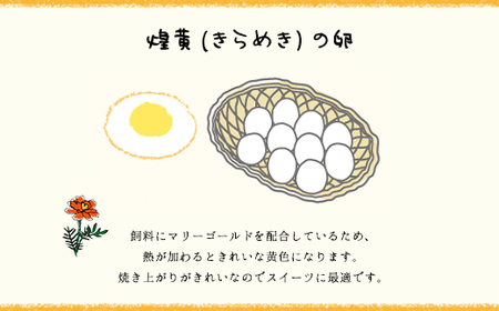 9ヶ月定期便 たまごやとよまる 煌黄30個 SMAS023 千葉県 山武市 卵 たまご タマゴ