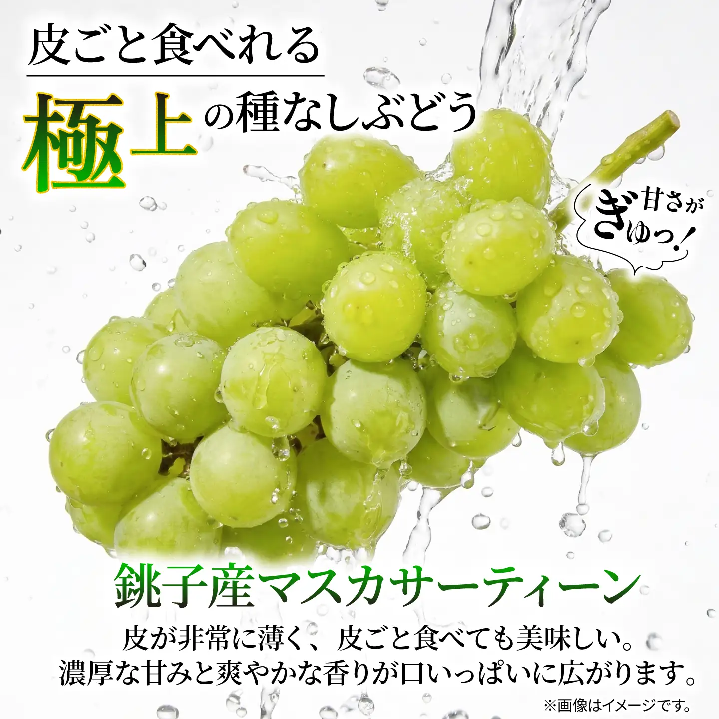 訳あり シャインマスカット × マスカサーティーン （ 種なし ） 1房 450g 以上 