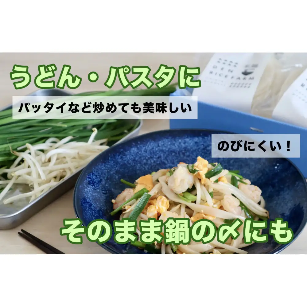 グルテンフリー 無添加 米麺 120g  10個セット（白米麺10個）｜米粉 うどん 焼きそば パスタ 麺