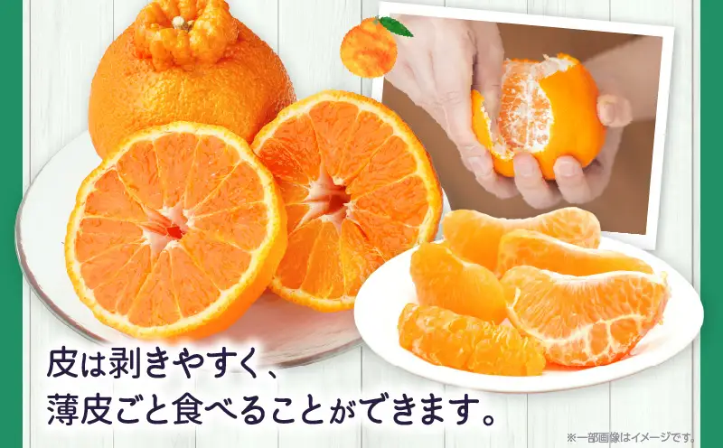 【先行予約】【期間限定！】甘みと酸味の共演・濃厚「デコポン」約5kg【香川県共通返礼品】 | デコポン 甘い 酸味 柑橘 柑橘系 果物 フルーツ 青果 デザート グルメ おすすめ 贈答 贈り物 贈答用 ギフト プレゼント 特産品 特産 取り寄せ 香川県 三木町 |_mk006-090