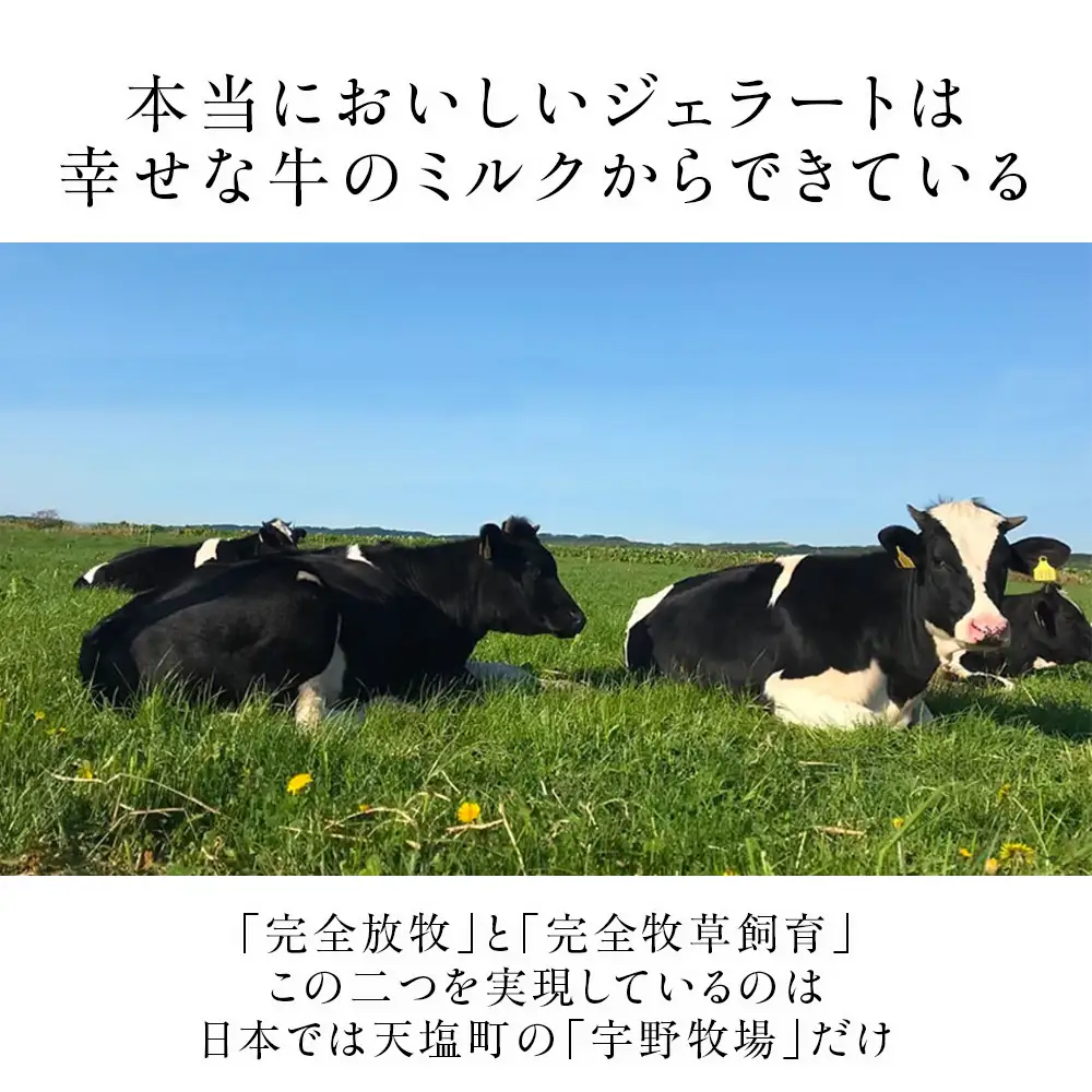 【定期便3ヵ月】幸せな牛のミルクからできたジェラート パティシエおすすめ12個セット ＜（株）SAKURA STYLE＞