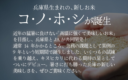 兵庫県産コノホシ (4kg) 米 / 米