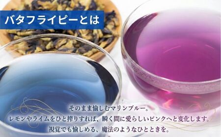 青い新 (あらた)  500ml 1本 バタフライピー スピリッツ 青いハーブ お酒 酒 アルコール ハーブ 裾野市 静岡県