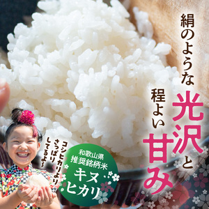 BB6233_和歌山県産キヌヒカリ 5kg（2025年産）