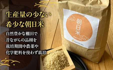 先行受付 農薬不使用 ホタル舞う里山の棚田米 玄米10kg 令和8年産 朝日2kg×5袋