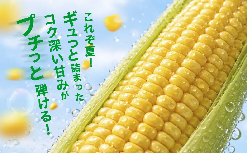 【ふるなびWEEK対象】朝採れ とうもろこし 10~16本 イエロー とうもろこし
