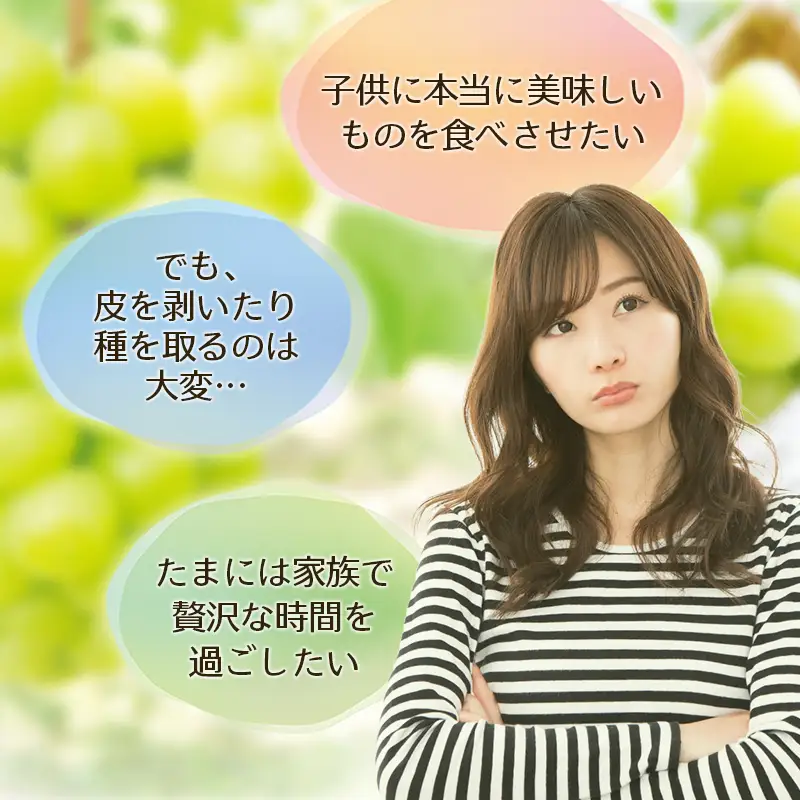 かつらぎ町産　シャインマスカット 約3kg（4房）【2026年8月中旬～9月中旬ごろ順次発送】【AQ-ikd731】 