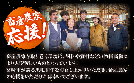 牛肉 ステーキ 牛肉[【数量限定】畜産農家応援！宮崎県産黒毛和牛ロースステーキ250g(真空パック) 国産 国産牛 黒毛和牛 和牛 肉 お肉 ロースステーキ ステーキ肉 ロース 焼肉 焼き肉 BBQ ギフト 冷凍]