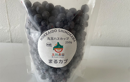 及川農園 プレミアムハスカップ 2kg F4G-0343