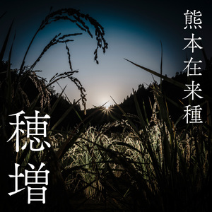 穂増 5kg × 赤酒 720ml | 熊本県 和水町 くまもと なごみまち なごみ 白米 お米 米 お酒 酒 あか酒 地酒 花の香酒造