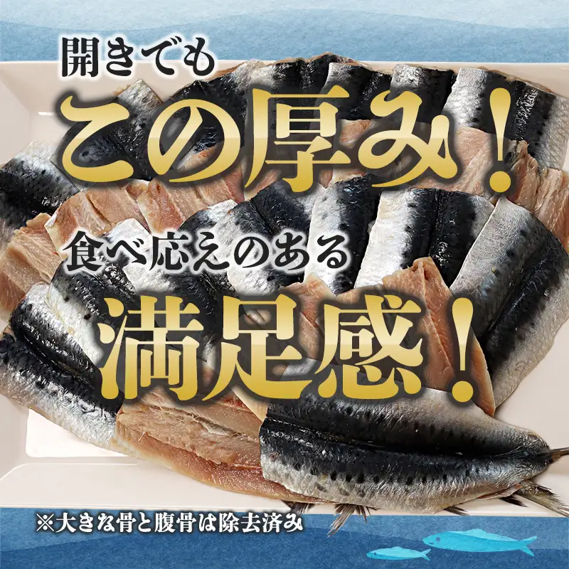 無塩 いわし 開き 20尾 骨抜き 鰯 干物